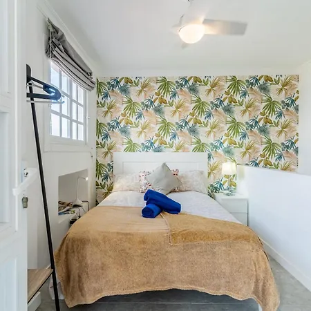 Center Penthouse Near The * 푸에르토 드 라 크루즈