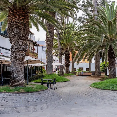 Center Penthouse Near The Apartamento Puerto de la Cruz (Tenerife)
